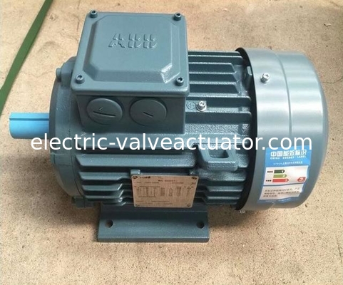 قیمت خوب 380 ولت IP55 محفظه NEMA سری M2BA Flang Foot نصب شده 3 فاز موتورهای الکتریکی AC برای کاربردهای سنگین آنلاین