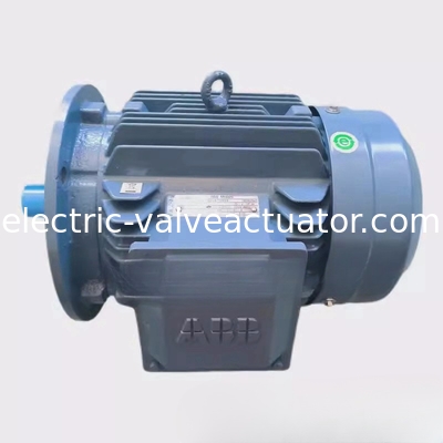 قیمت خوب M2QA200LB6 22KW 6 قطب موتور سه فاز آسنکرون IC411 خود خنک کننده آنلاین