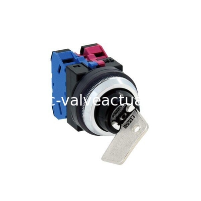 قیمت خوب ASN2K22N-NO24401 نوع دکمه فشار سوئیچ لحظه ای با سوراخ نصب φ30 آنلاین