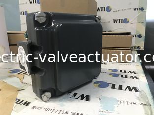 قیمت خوب TVH-E20GNPM TOPWORX مانیتور شیر امرسون در آلومینیوم آنودیزه شده یا فولاد ضد زنگ 316 آنلاین