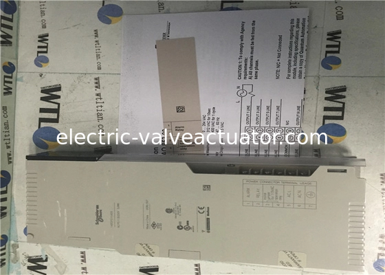 قیمت خوب Schneider Electric Programable Logic Controller 140CPS11420 Power Supply Module آنلاین