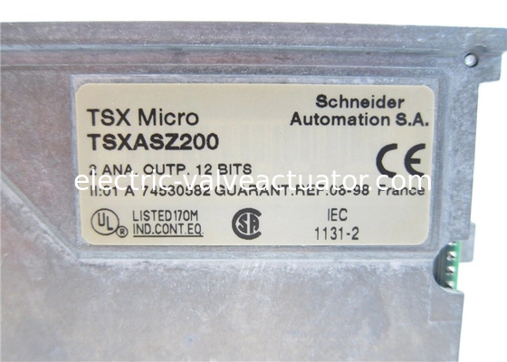 قیمت خوب خروجی آنالوگ Schneider Electric TSXASZ200 TSX Micro 2 +- 10 V 0-20 4-20 mA آنلاین