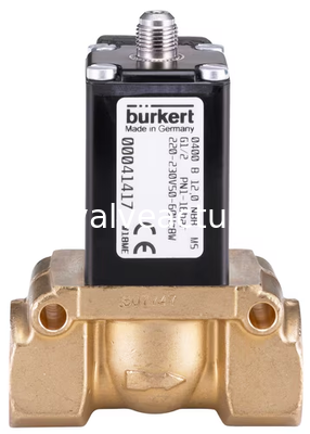 قیمت خوب شیر پیستون 2/2-راه کنترل شده با سرو Burkert Type 0400 برای عملیات فرآیند خودکار آنلاین