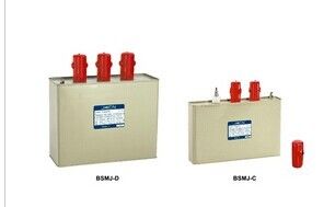 قیمت خوب Safety Low Voltage Protection Devices Low Voltage Shunt Capacitor With Low Loss آنلاین