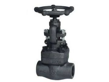 قیمت خوب دروازه ورودی Z61Y نیروگاه کربن، فولاد ضد زنگ 900 ~ 1500Lb، 150 ~ 800Lb آنلاین